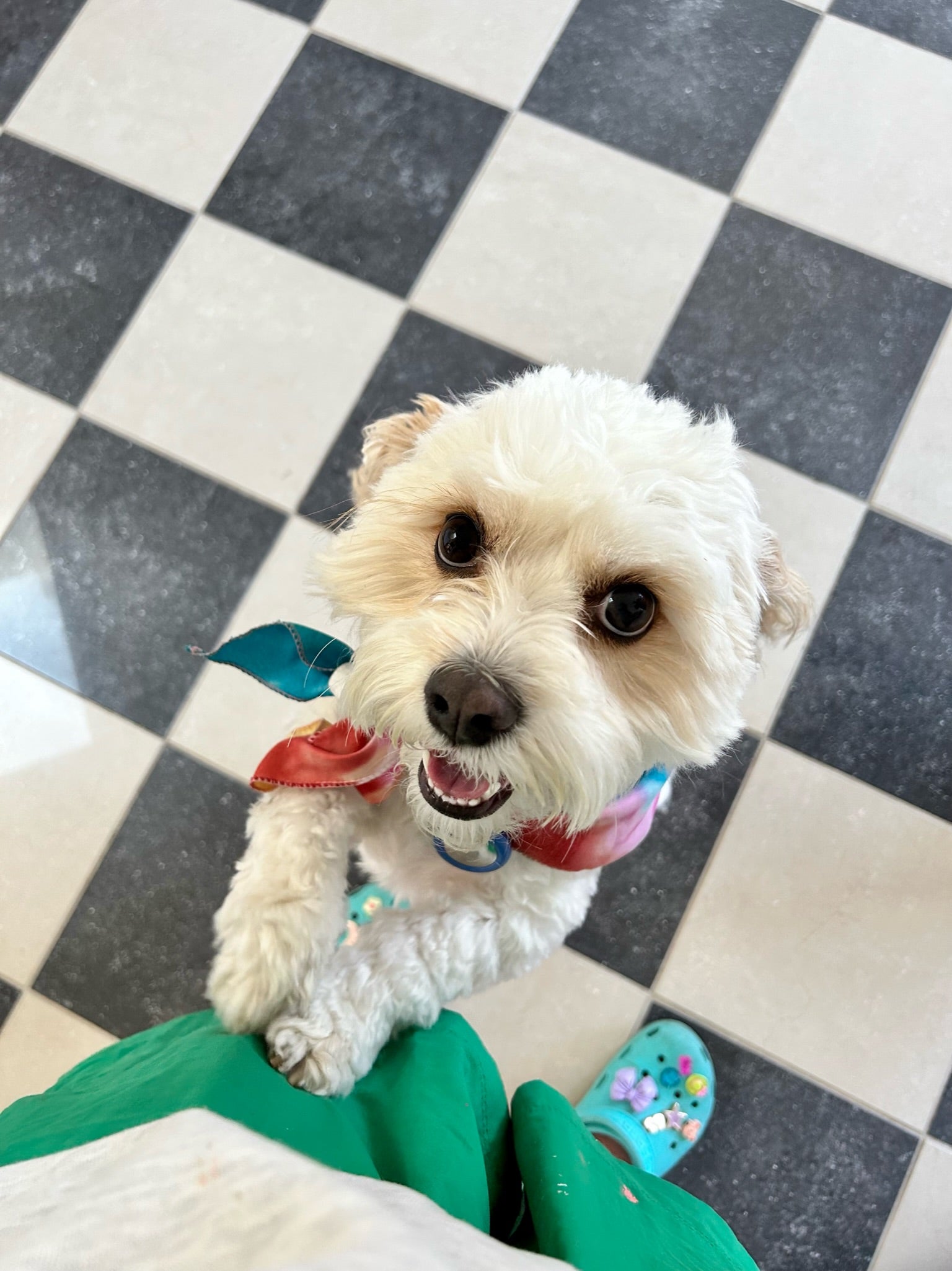 Slideshow brand image