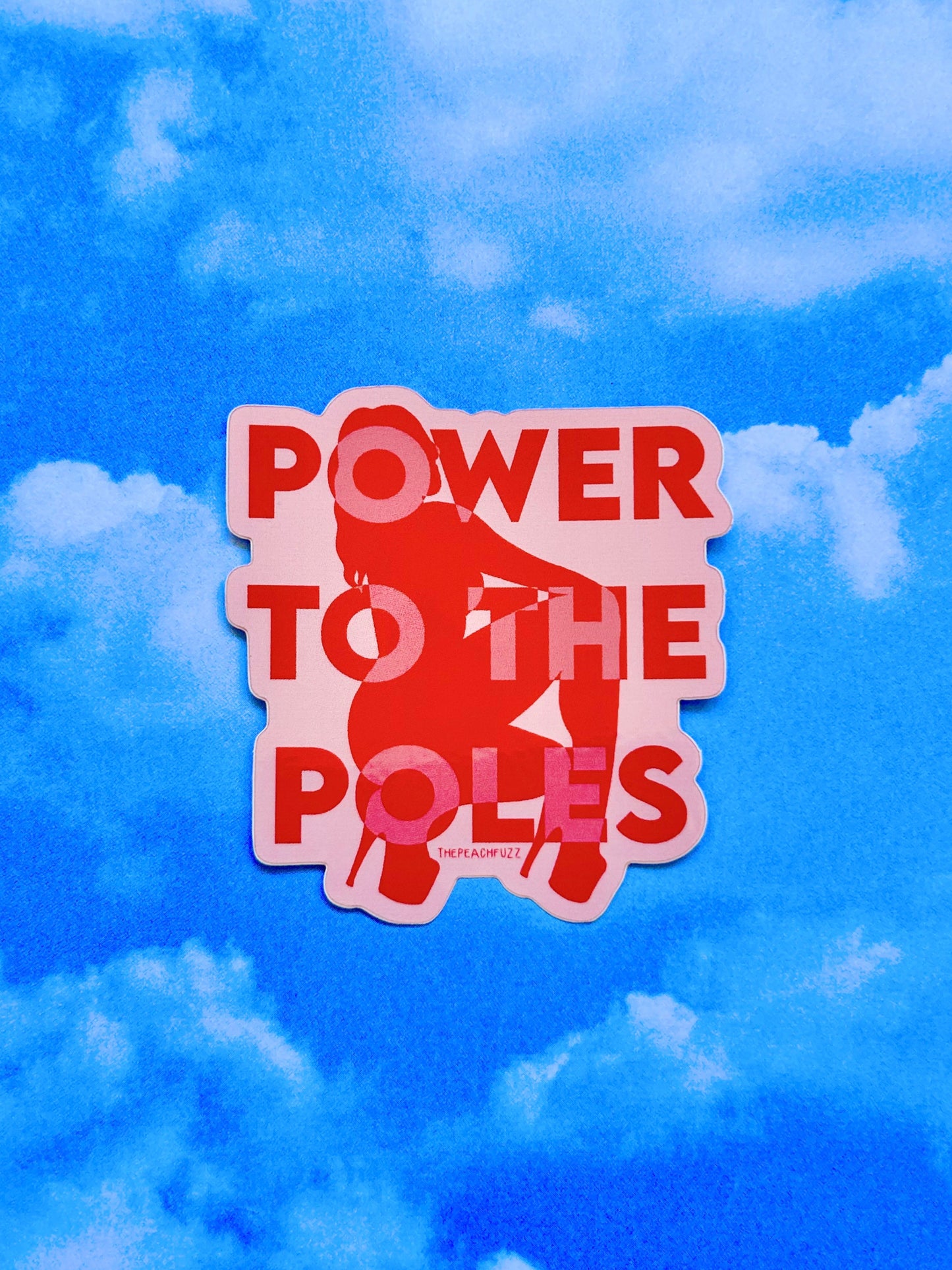 Power To The Poles Sticker