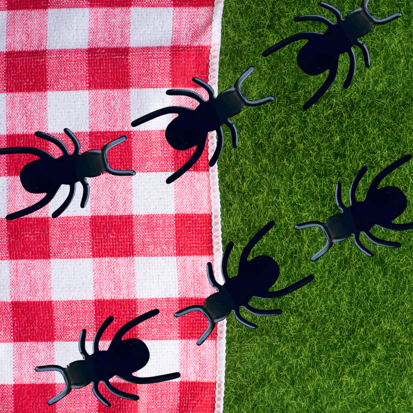 Ants Hair Clip Set TPF x BOYKO