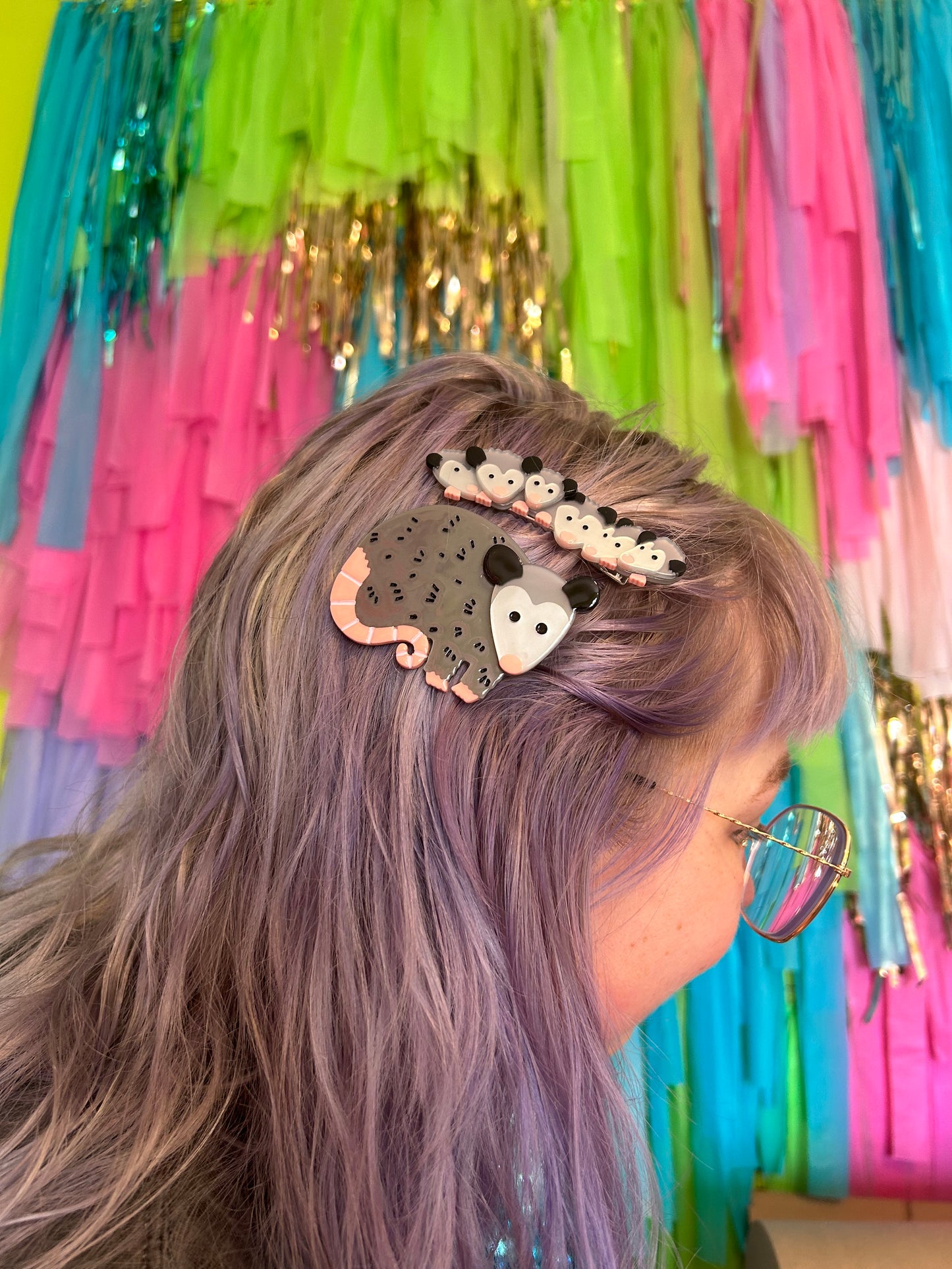 Possum Family Hair Clip Set