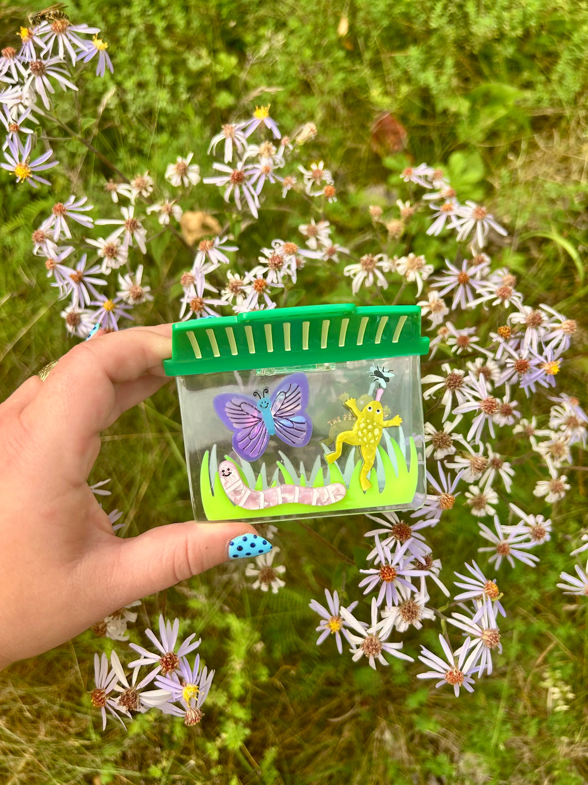 Bug Box Hair Claw