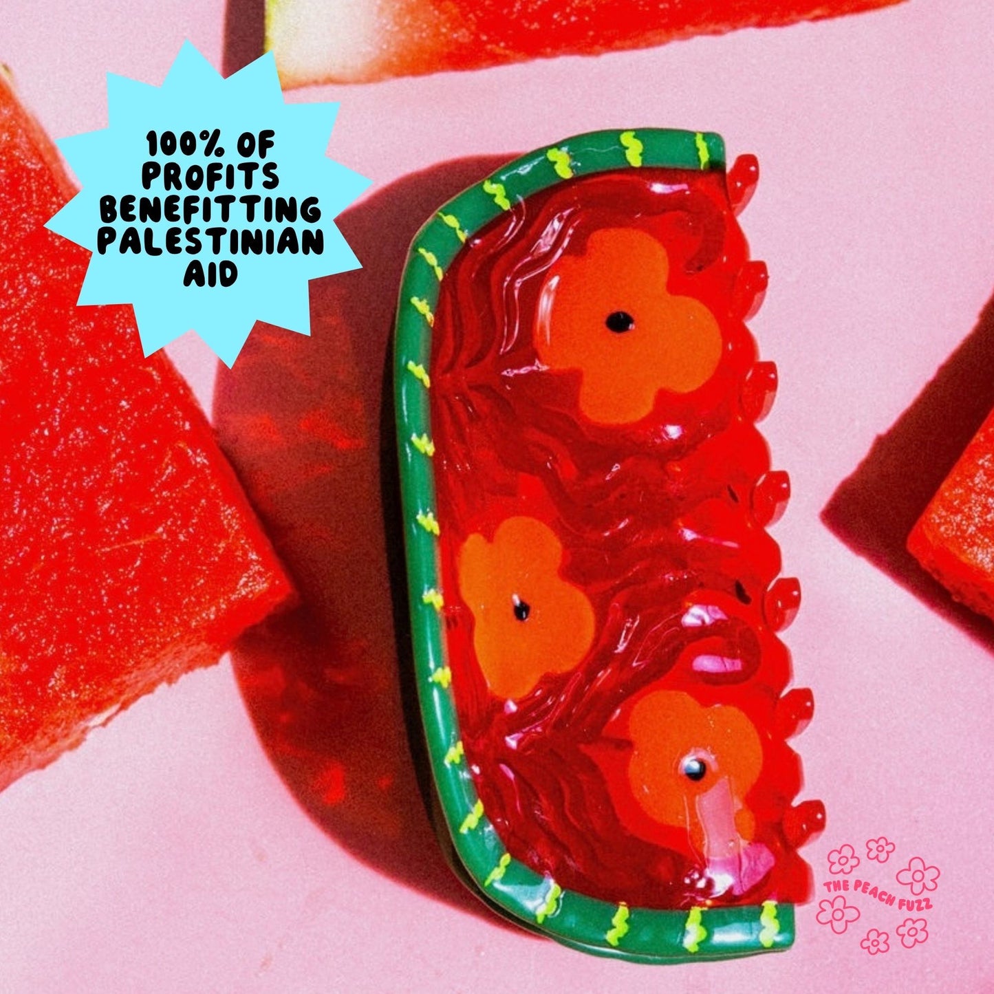Watermelon Hair Claw