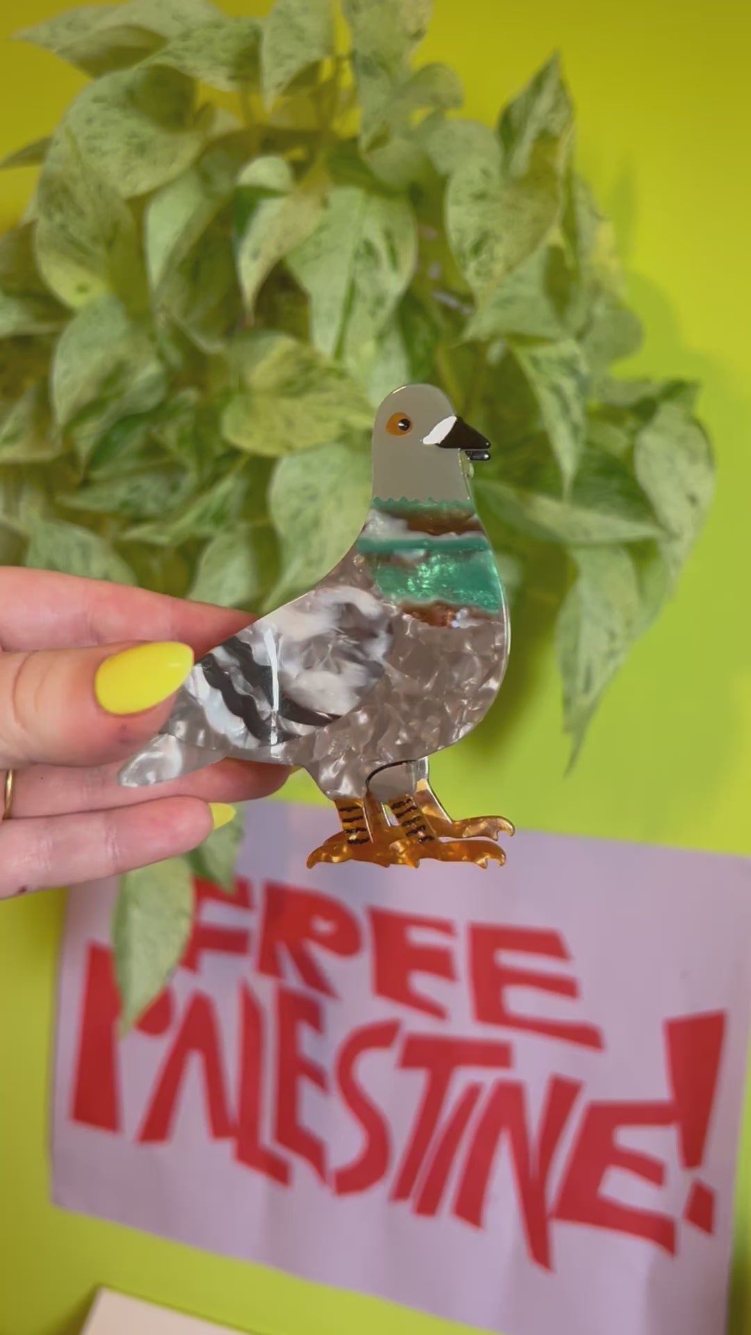 Pigeon Hair Claw